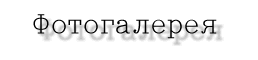 gallery.GIF (2293 bytes)